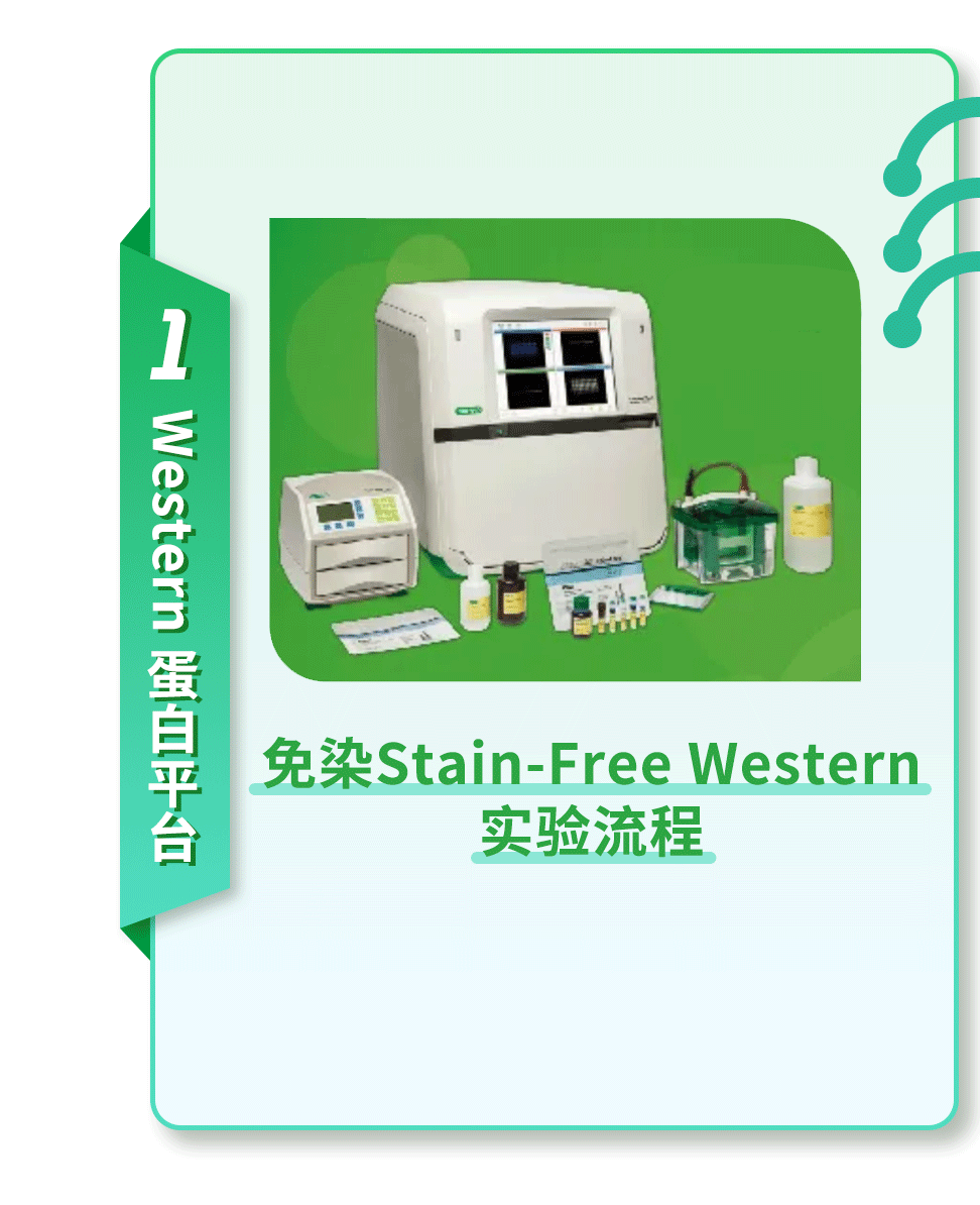 经营中的策略是指_策略效应_秦英林的经营策略与市场反应