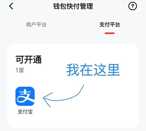 推行货币数字化有什么好处_货币数字化试点_如何根据项目进展选择数字货币