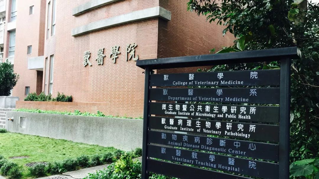 中兴手机例子_使用中兴手机记录生活中的美好瞬间_中兴手机历史